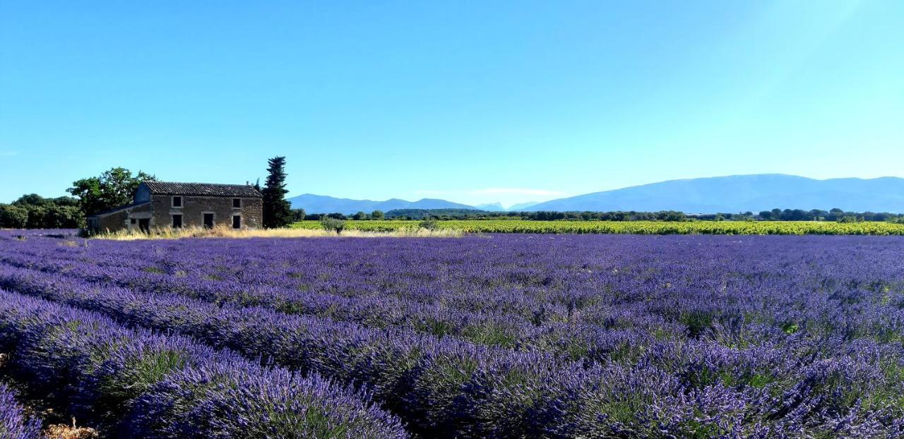 Vakantiehuis L'instant Provence *