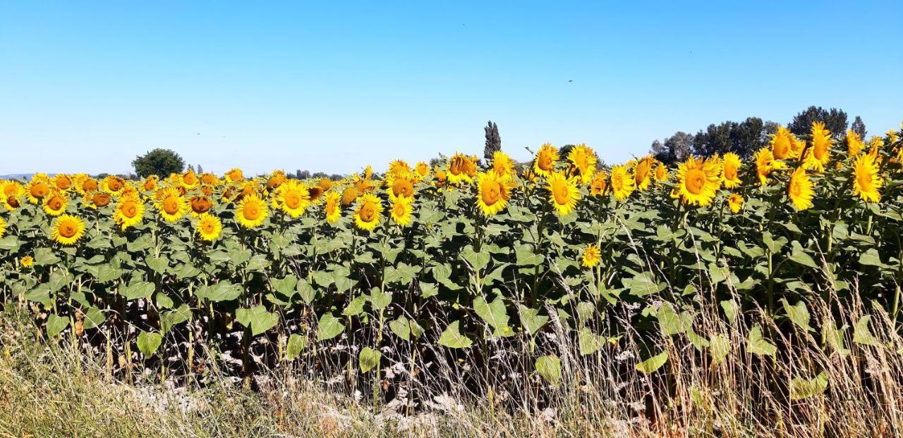 L'instant Provence *
