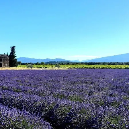 Villa L'Instant Provence Valréas Exterior foto