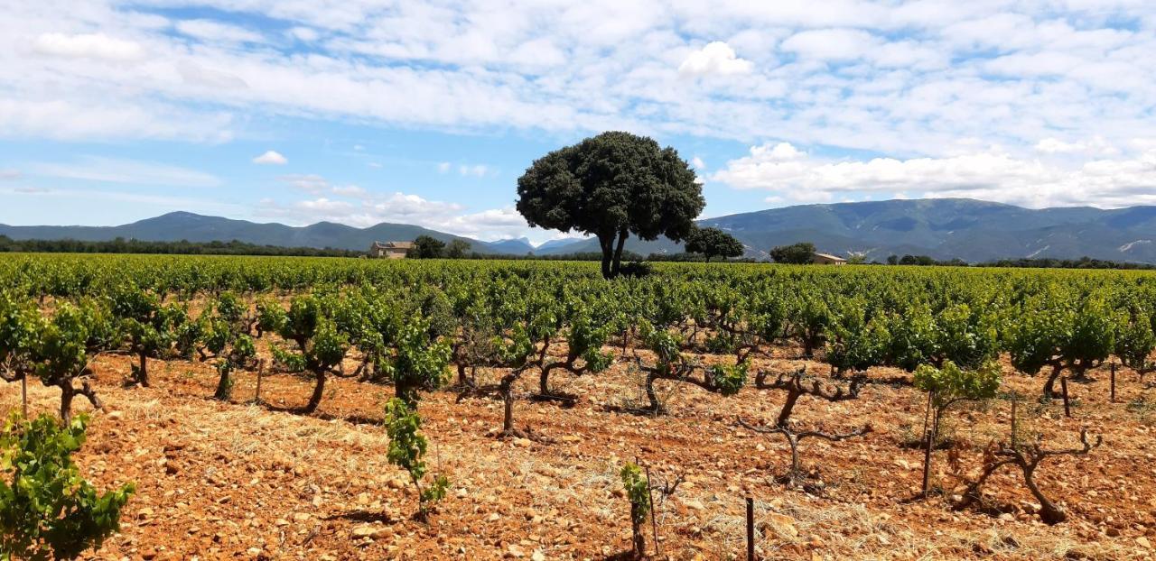 L'instant Provence *